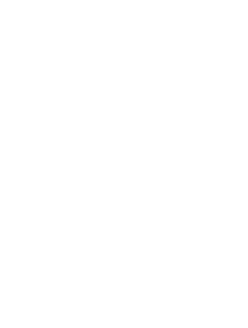 Peebol